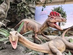 -国家自然博物馆