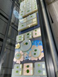 -御珠宫坊(壹海城ONEMALL店)