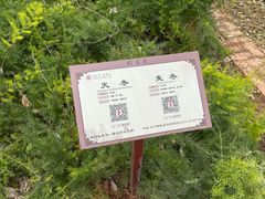 -马王堆汉墓遗址