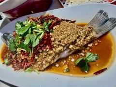 -杨氏青龙虾·羊蝎子(托乐嘉店)