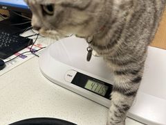 -瑞派康怡24h宠物医院·犬猫医疗中心·微创绝育(瑞景分院)