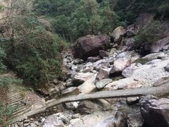 -花岩国家森林公园