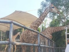 -泉州海丝野生动物世界