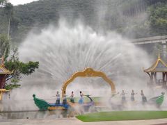 -西双版纳原始森林公园
