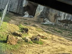 -无锡动物园·太湖欢乐园