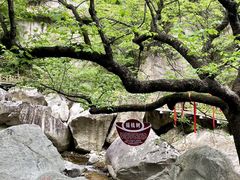 -洛阳白云山景区