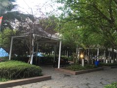 -重庆西南医院(西南院区)