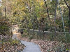 -镇江市南山风景名胜区竹林景区