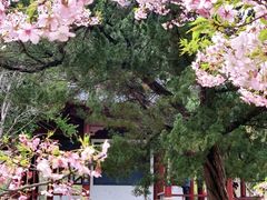 -堤角公园