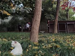 -西园寺