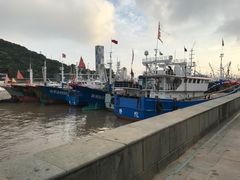 -沈家门渔港
