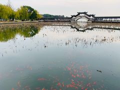 -观桥阁(锦溪店)