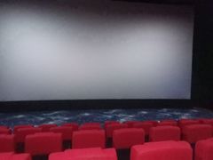 -万达影城(锦华万达广场IMAX店)