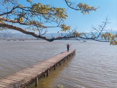-西昌邛海湿地