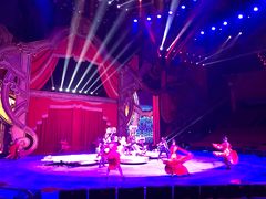 -珠海横琴长隆《卡卡虎奇遇记》