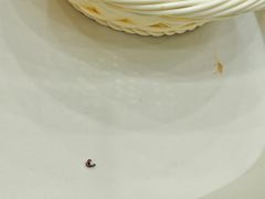 -方中山胡辣汤(成都首店)