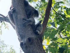 -费瑟代尔野生动物园