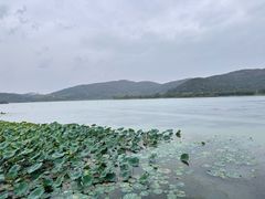 -南北湖风景区