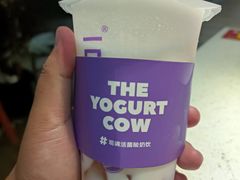 -一只酸奶牛(双流万达广场店)