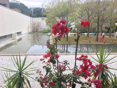 -南紀白浜 浜千鳥の湯 海舟