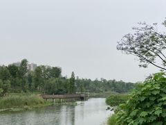 -桂溪生态公园