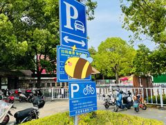 -共青国家森林公园-南大门停车场