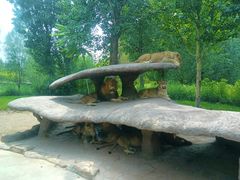 -北京野生动物园