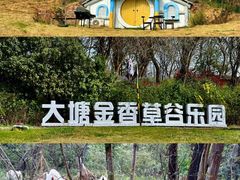 -大塘金香草谷