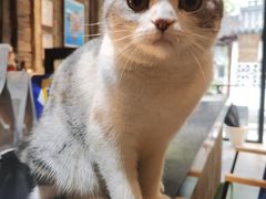 -作咖啡(养育巷店)