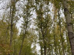 -弘安丽水温泉酒店