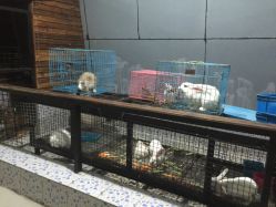 -可可天空农场(东部新城银泰店)