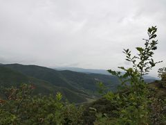 -铜川市金锁关石林