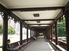 -温江公园