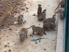 -秦皇岛野生动物园