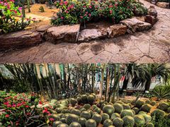 -石家庄市植物园