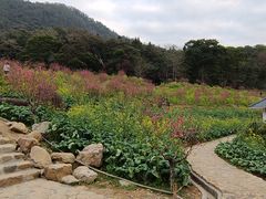 -广州市石门国家森林公园