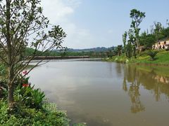 -枫香湖儿童公园