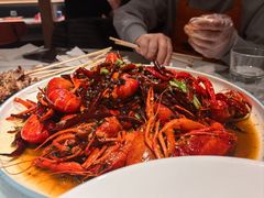 -杨氏青龙虾·羊蝎子(金盛路总店)