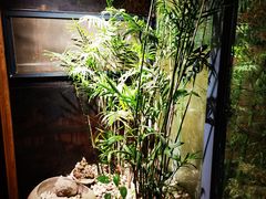 -聚缘堂·海鲜私房菜(松岭路店)