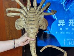 -SFC上影影城(港汇永华IMAX激光店)