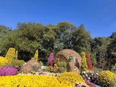 -上海共青森林公园