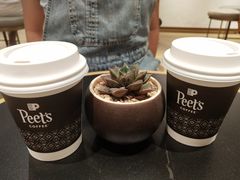 -Peet's Coffee皮爷咖啡(德基店)