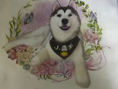 -Husky Go! 哈士奇体验馆·宠物咖啡厅狗咖