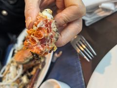 -Social 秀西餐厅-长沙瑞吉酒店(运达店)