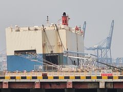 -东疆建设开发纪念公园