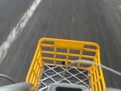 -傅记酱肉