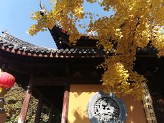 -龙华寺