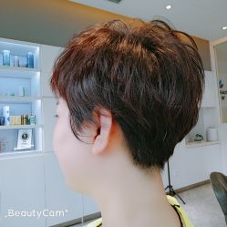 -爱维丽