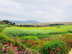 -光明小镇欢乐田园