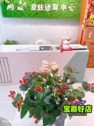 -宜肤清颜专业祛痘问题肌修护